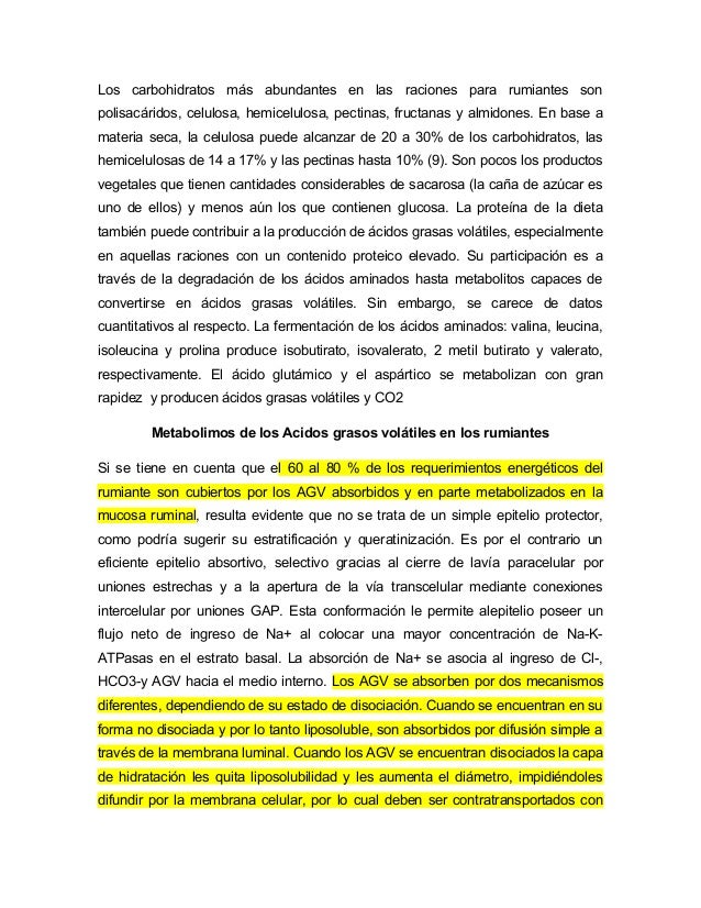 acidos grasos volatiles rumen
